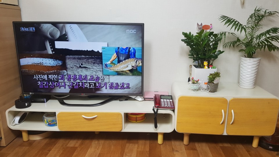 53828193baab037a547ac2f5157596aa_1492479699_743.jpg 53828193baab037a547ac2f5157596aa_1492479699_743.jpg